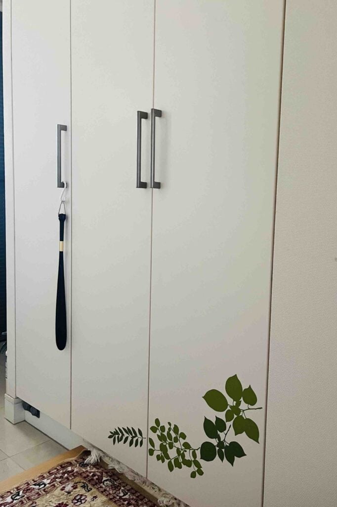 shoe cabinet door