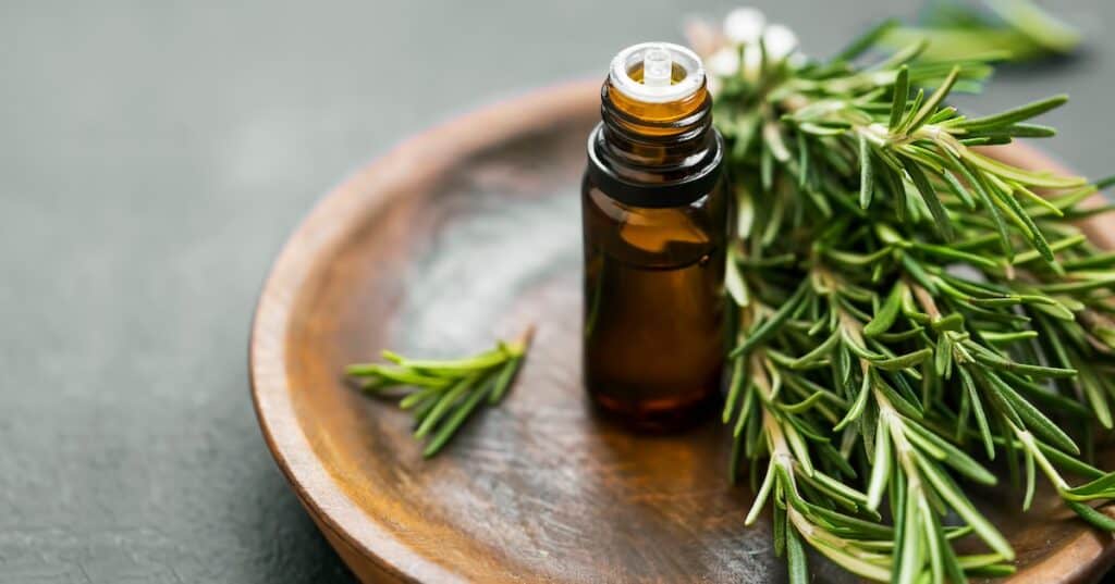 fresh rosemary and essentialoil