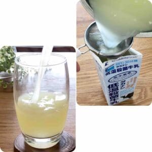 mozzarella cheese whey.
