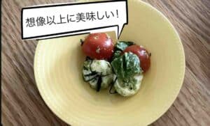 mozzarella cheese salad.