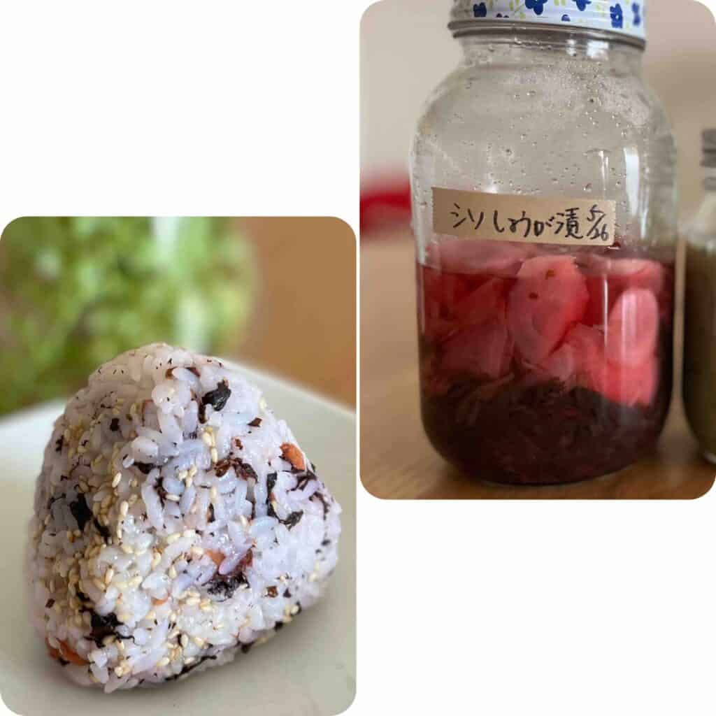 akasiso riceball&pickles.