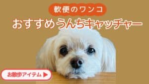 愛犬のアップの画像に 軟便のワンコ　おすすめうんちキャッチャーのテキスト入り